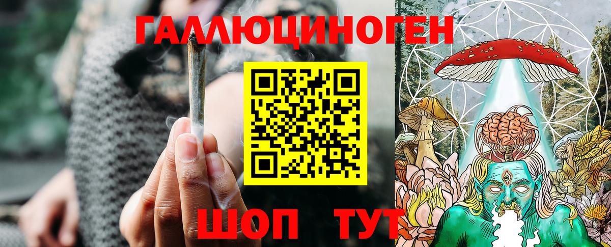 закладки  Псилоцибиновые грибы Cubensis  Вход с VPN  Железногорск 